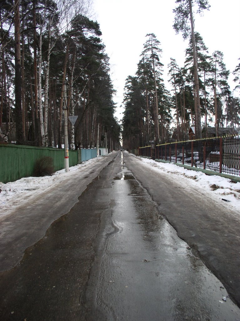 Улица Ленинская, Жуковский