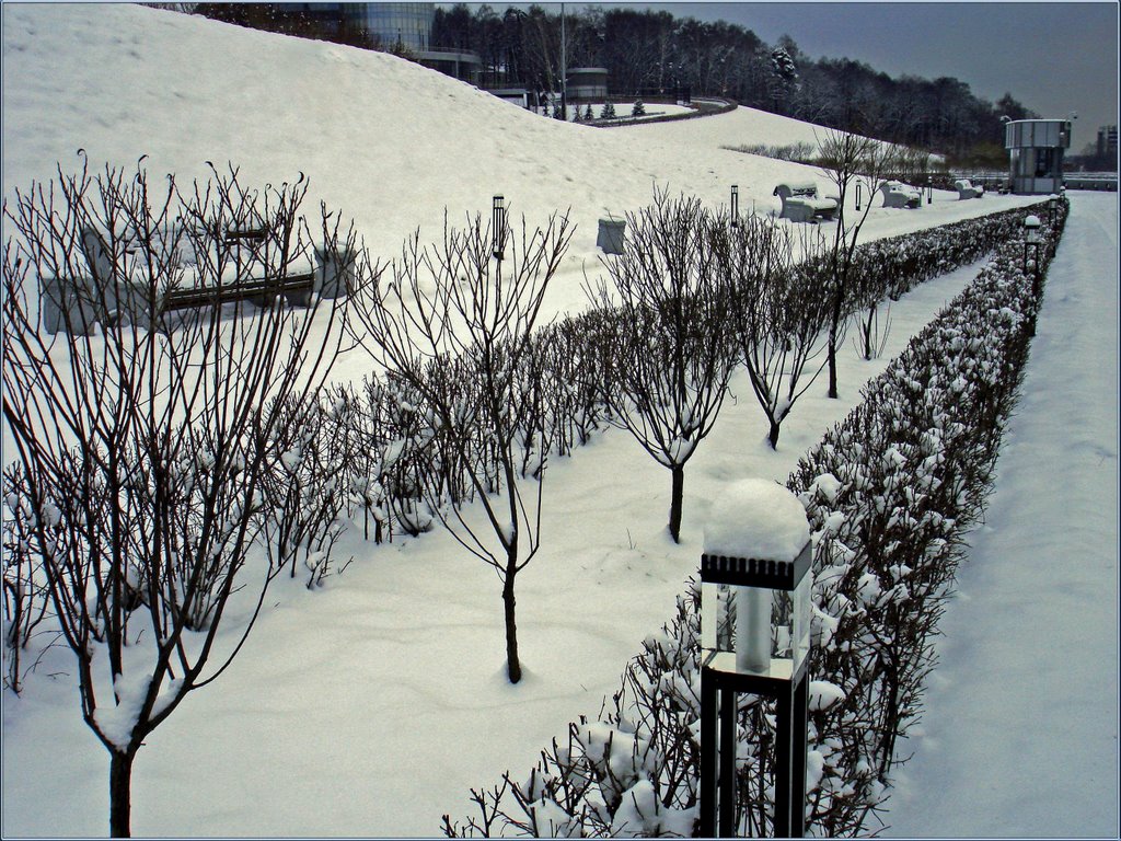Зимняя перспектива / Winter Outlook, Загорск