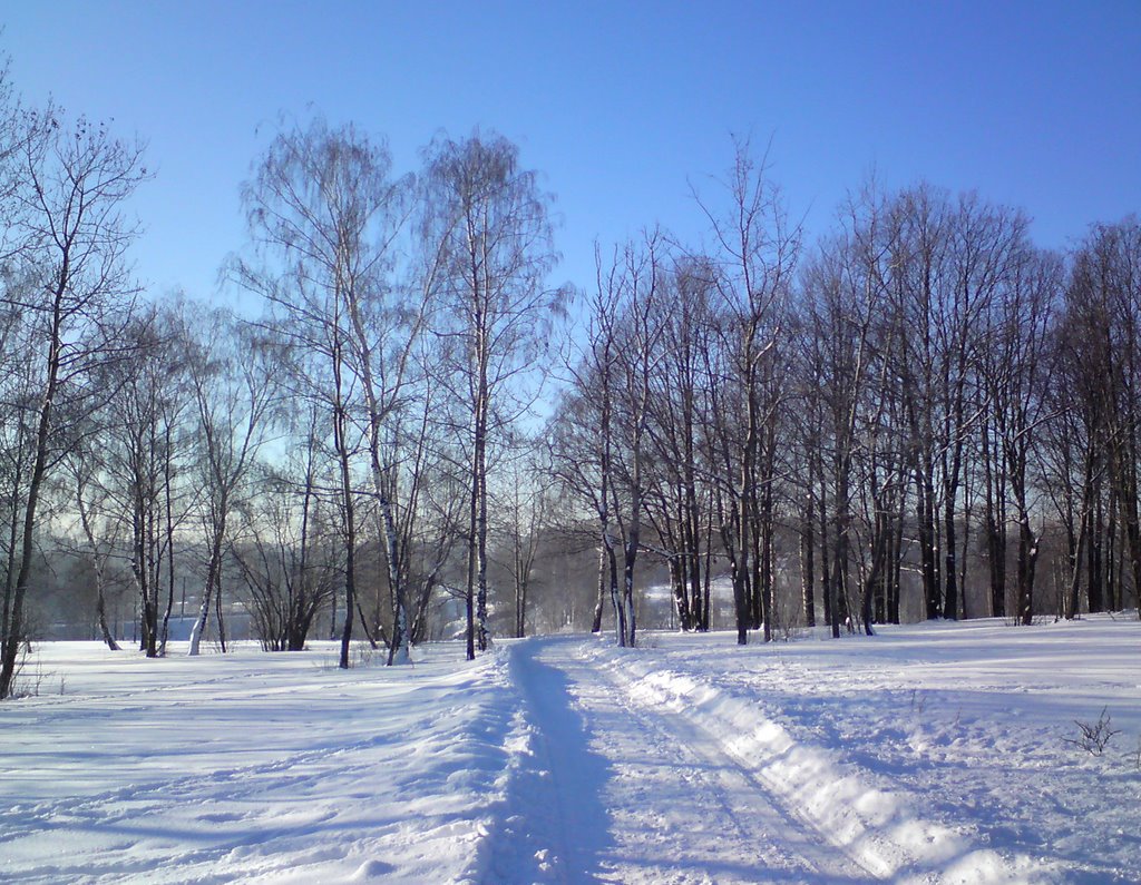 Winter Morning, Загорск