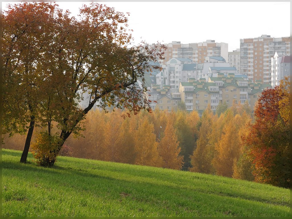 Fall in Mitino, Moscow, Загорск