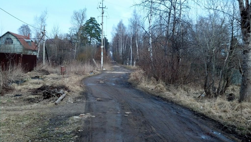 Дачная дорога, Загорянский
