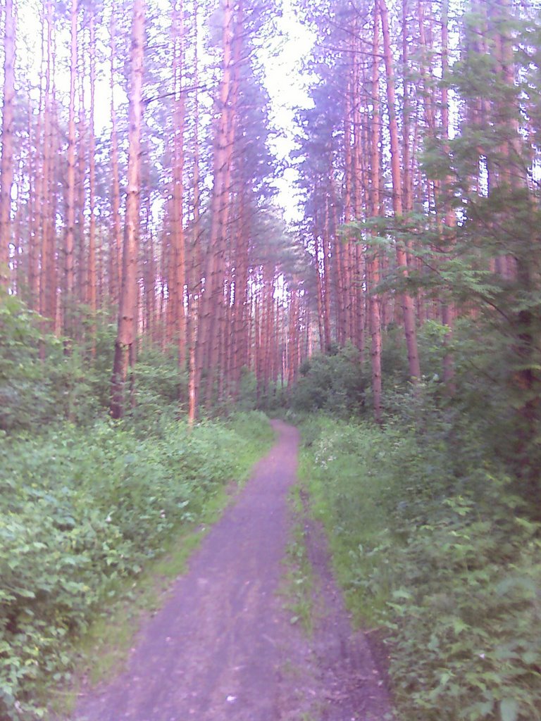 Road, Загорянский