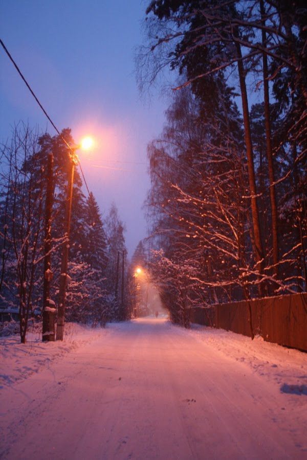 Зимний вечер, Загорянский