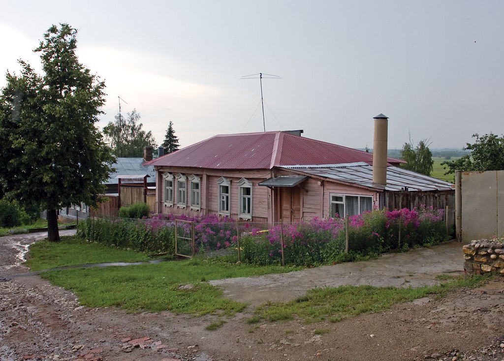 Pink village house / Zaraysk, Russia, Зарайск