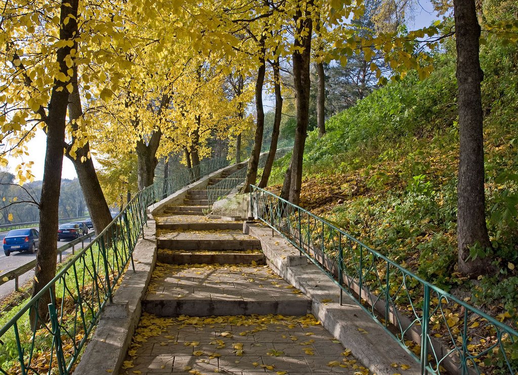 Staircase to Gorodok / Zvenigorod, Russia, Звенигород