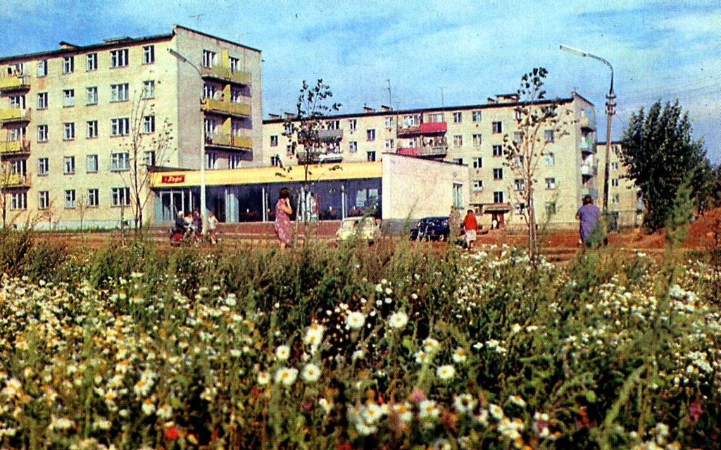 Квартал Маяковского (1974 год), Звенигород
