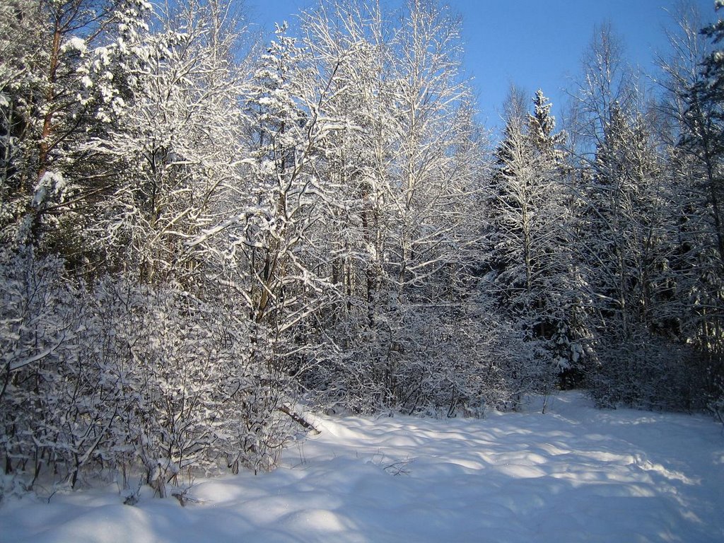 Зимний пейзаж снега. Зеленоград, Зеленоград