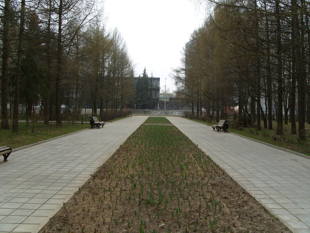Парк перед Южной зоной, Зеленоград