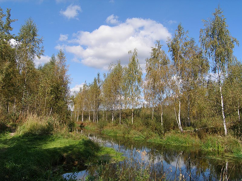 Канал в парке, Ивантеевка