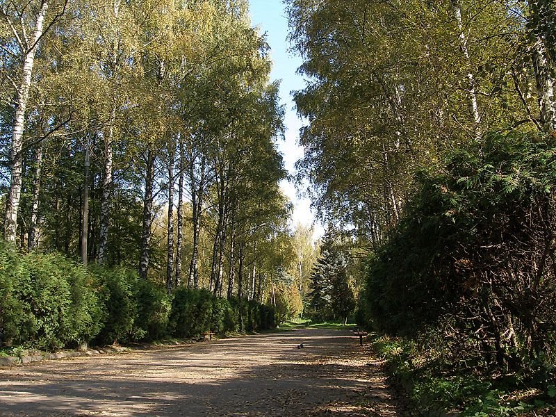 Ивантеевский парк, Ивантеевка