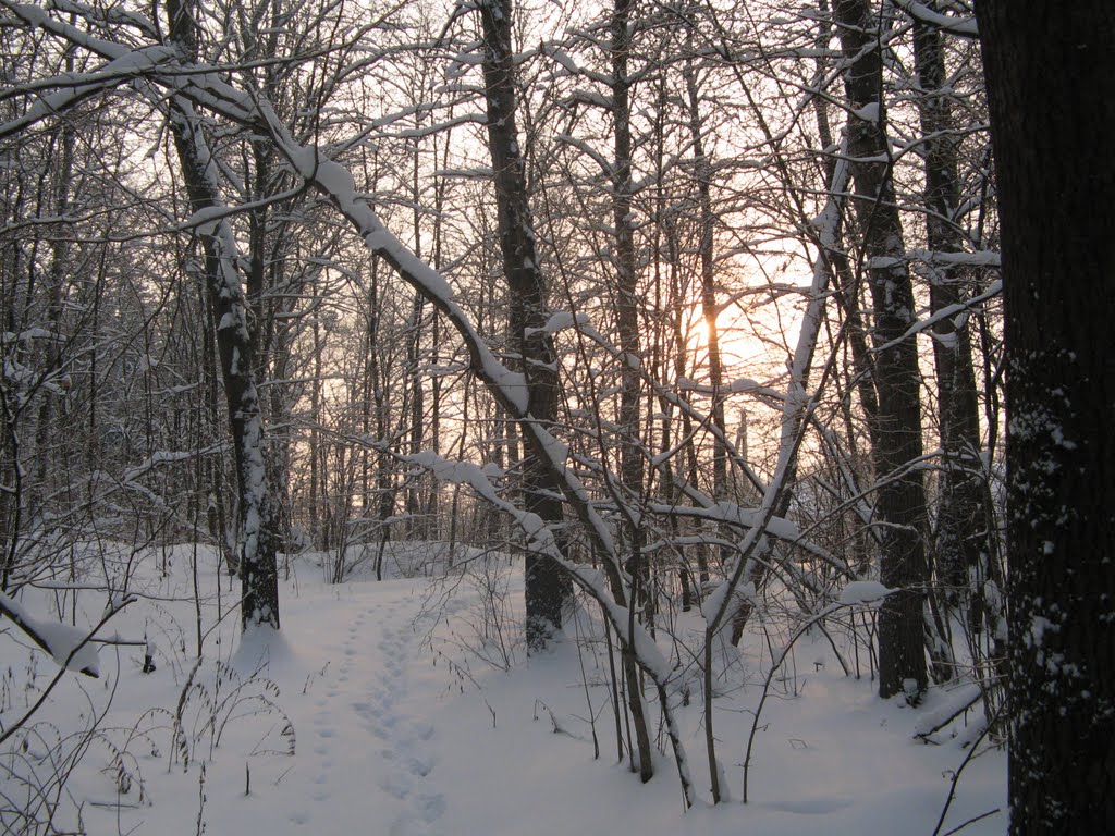 Зимнее Солнце (Winter Sun), Икша
