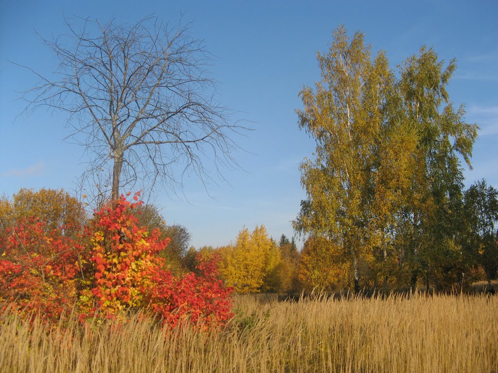 Краски осени (Рaints of autumn), Икша