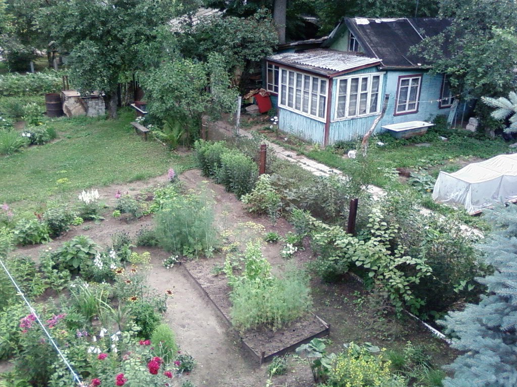 Двор с крыши / Yard with a roof, Ильинский