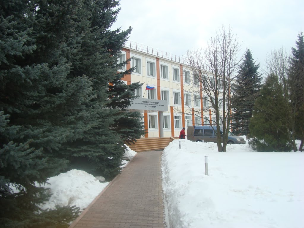 Здание института карантина растений, Ильинский