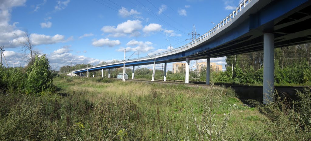 TRAFFIC OF THE LAW The construction of the Klimov bridge is overgrown with scand
