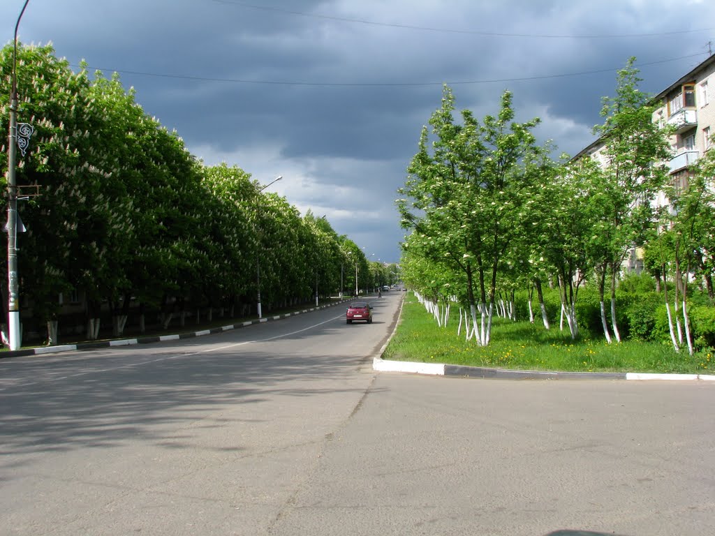 Пр.50лет Октября (весна 2010), Климовск