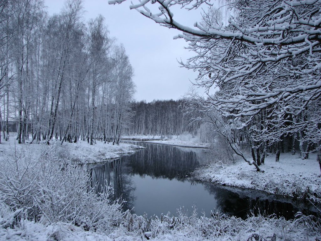 Пруд зимой, Климовск