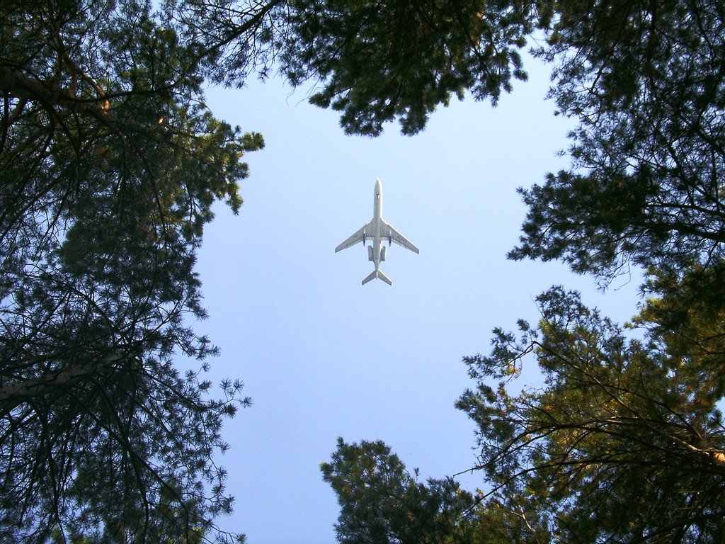 Новосельцево. Самолет, Клязьма