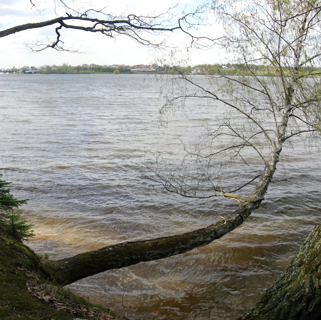 Пироговское водохранилище, Клязьма