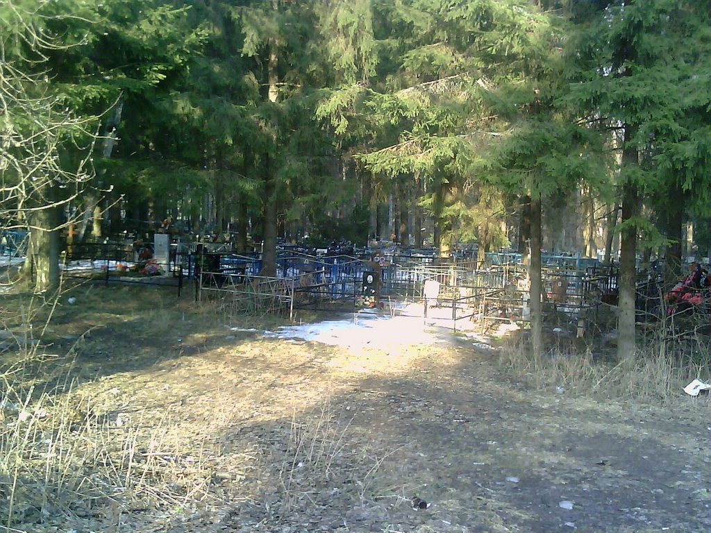 Кладбище на территории санатория №58 рядом со 2м корпусом (корпус №6), Кожино