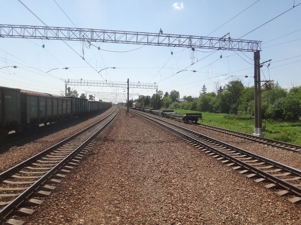 Станция Толстопальцево, Вид в сторону ст. Крёкшино, Кокошкино