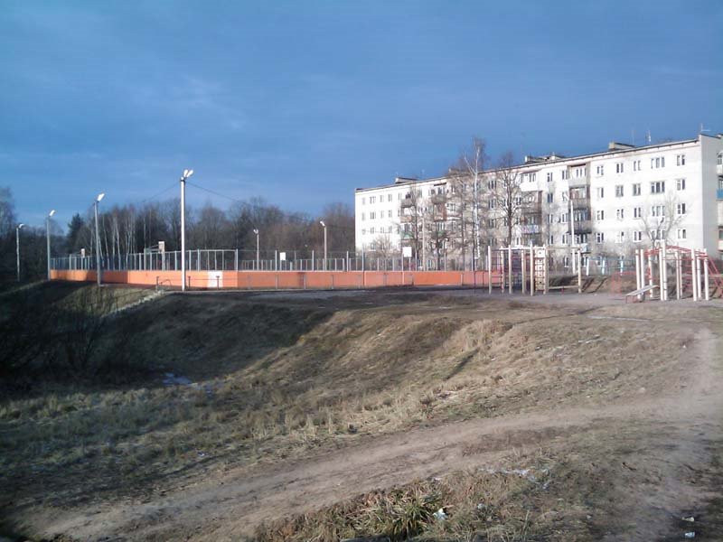 Стадион, Кокошкино