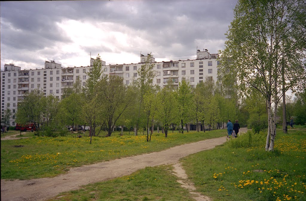 Кокошкино фото поселка Кокошкино фото поселка