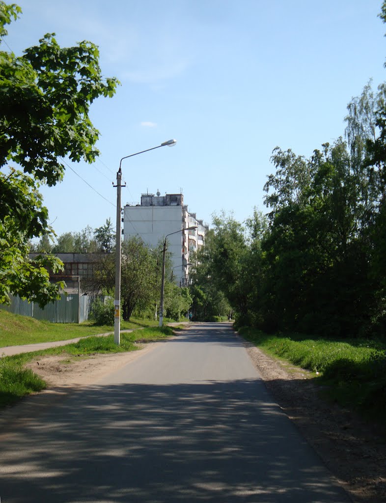 Кокошкино фото поселка Кокошкино фото поселка