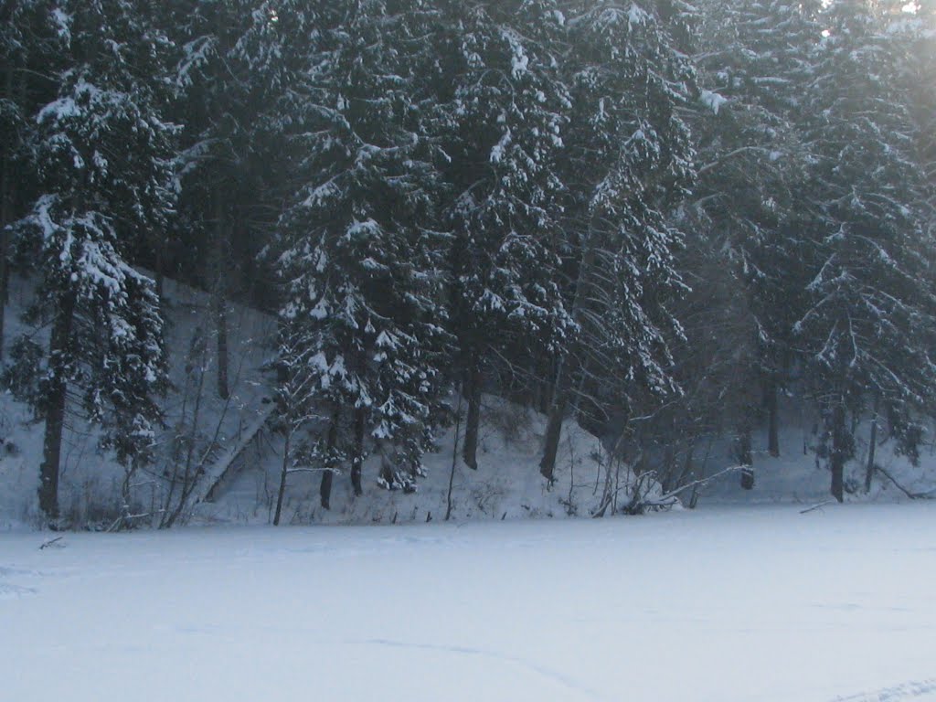 Зима на плотине, Колюбакино