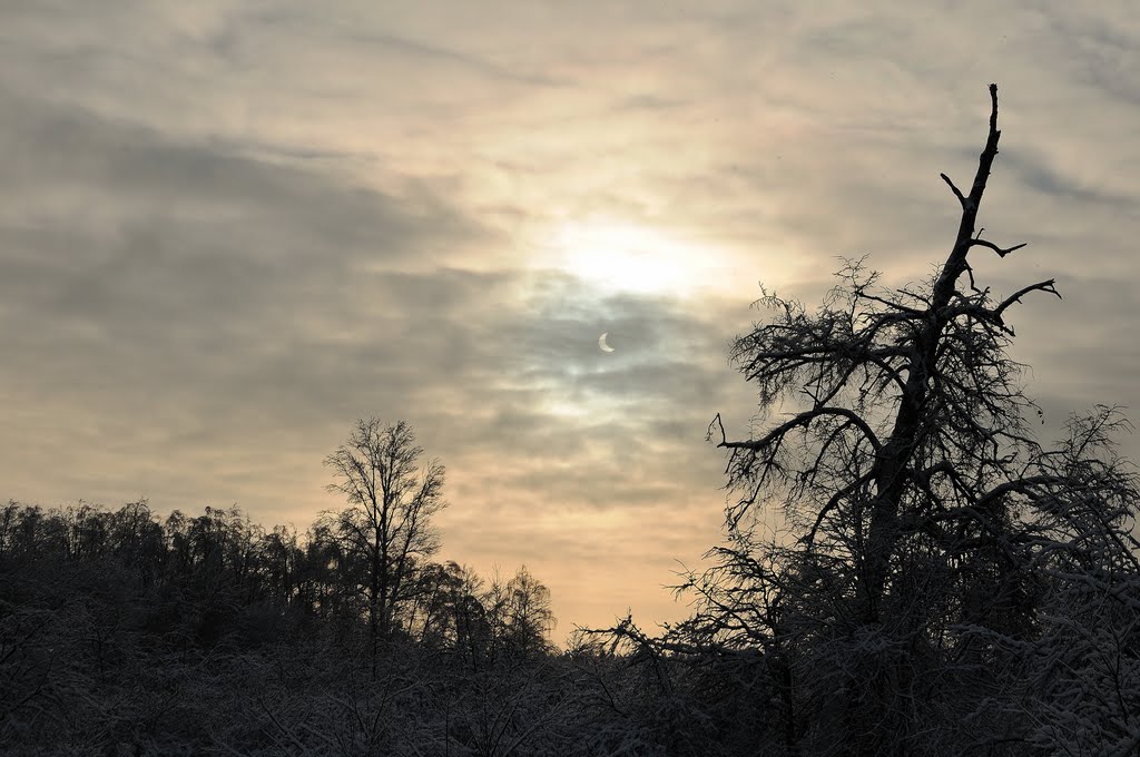 Солнечное затмение над парком усадьбы Красково, Красково