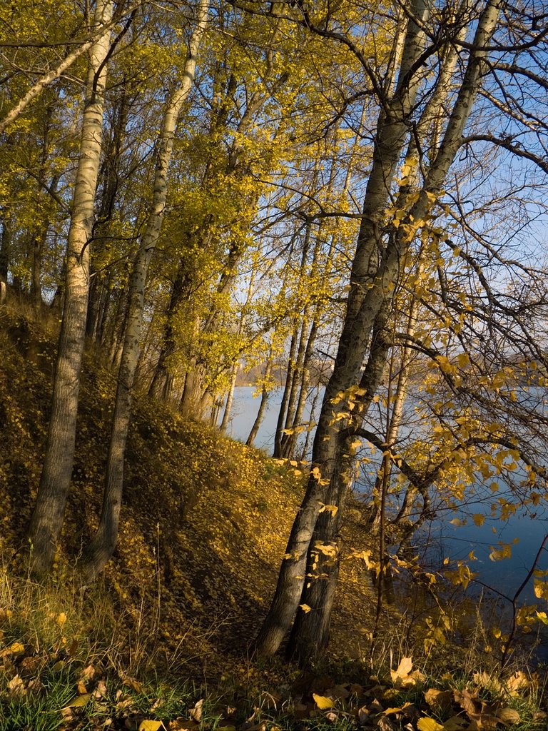 Autumn in Kraskovo, Красково