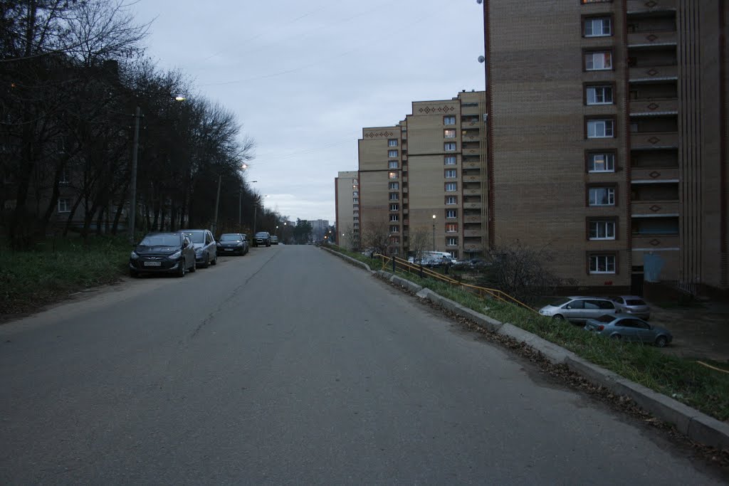 Улица Гагарина, Красноармейск