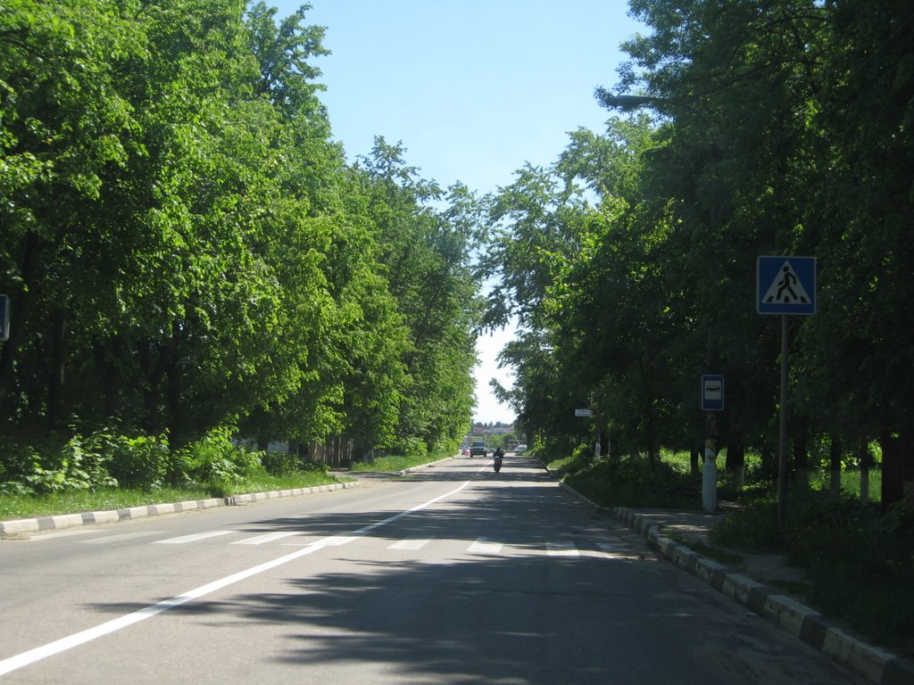 Проспект в деревьях, Красноармейск