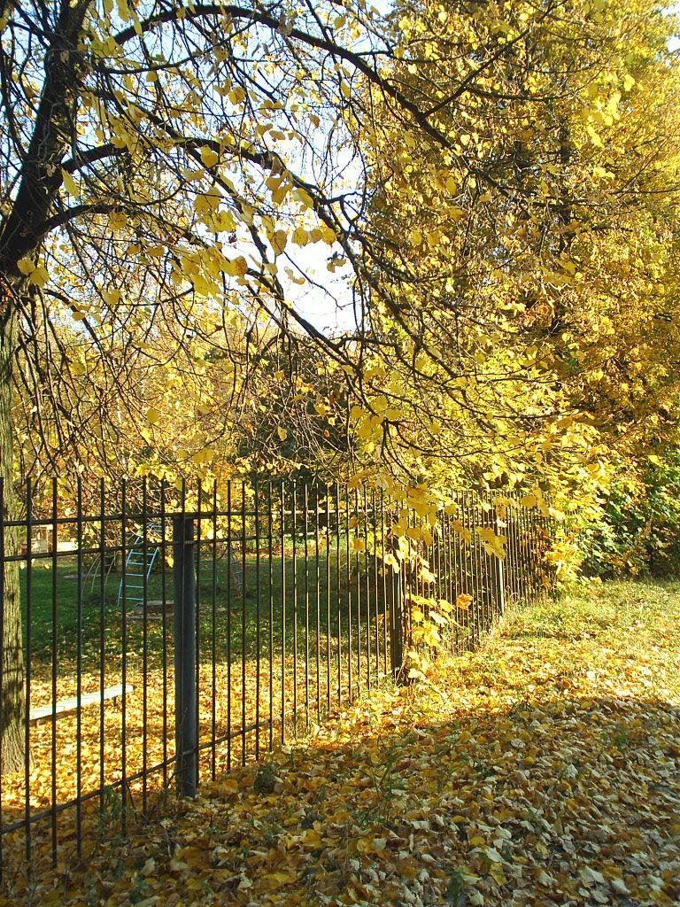 Осень 2005 года. Около д/с "Белочка", Красноармейск