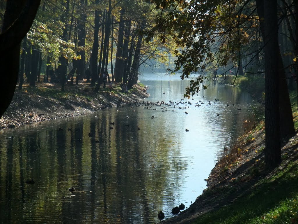 Осень., Красногорск