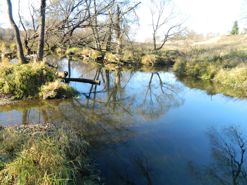 Река Лопасня Марийские Лесоходы