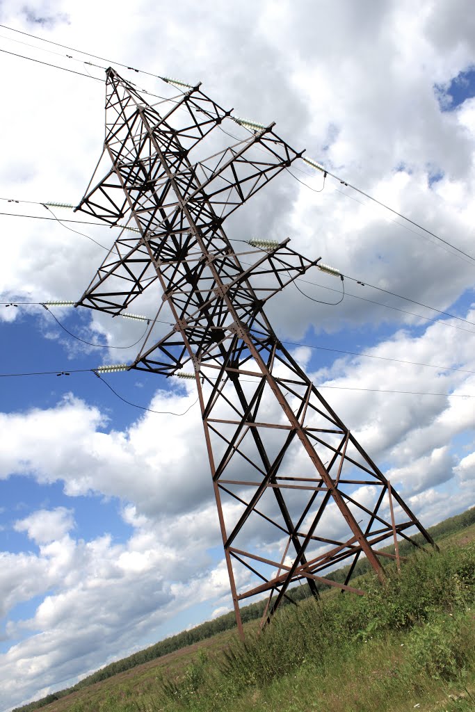 Электрификация сельской местности, Крюково