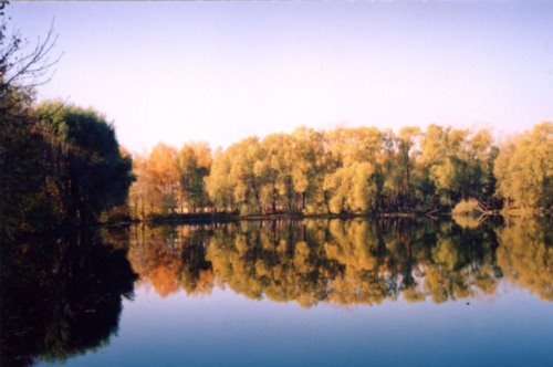 Золотая осень. Старый пруд., Купавна