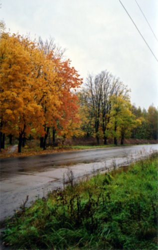 Золотая осень. Дождь, Купавна