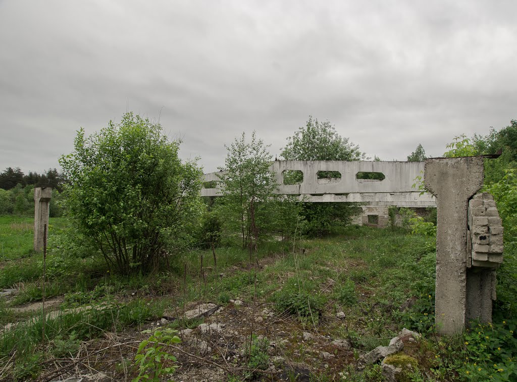 руины 2, Куровское