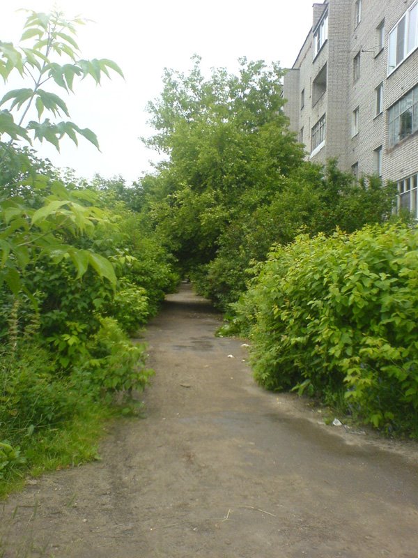 Lesnoy gorodok, Лесной Городок