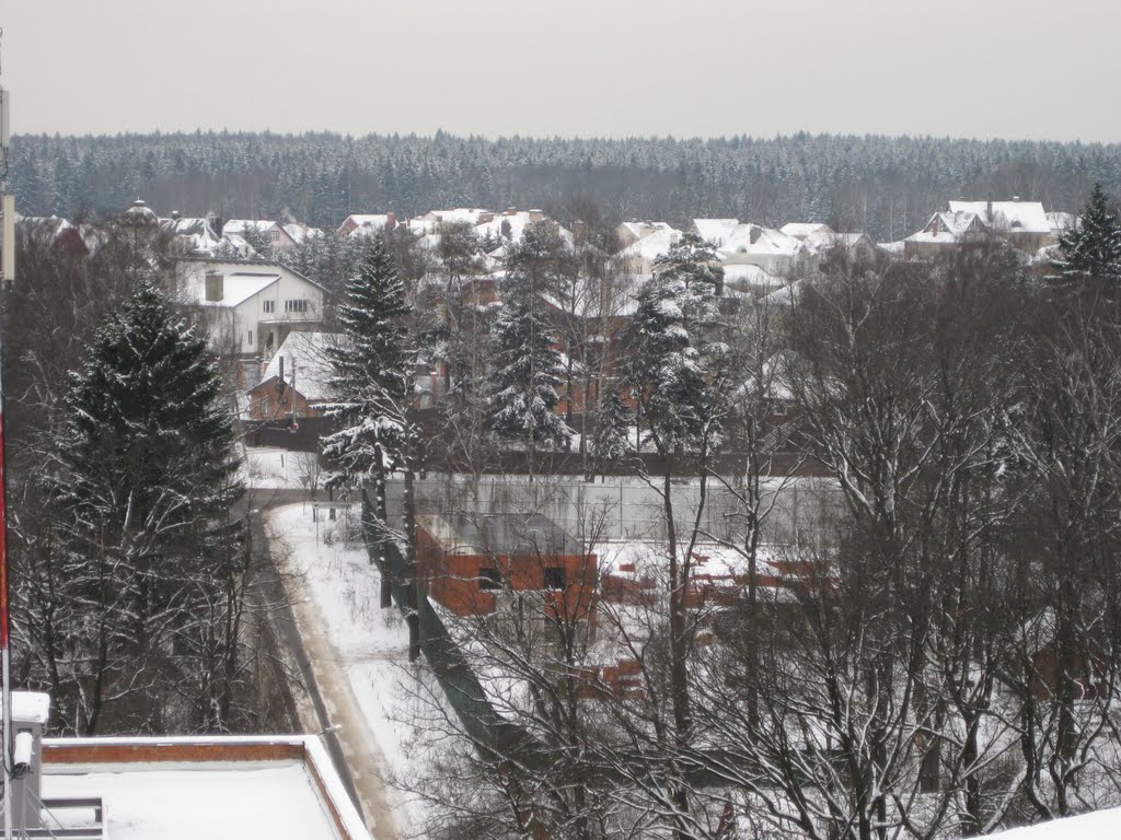 Вид на Солманово поле, Лесной Городок