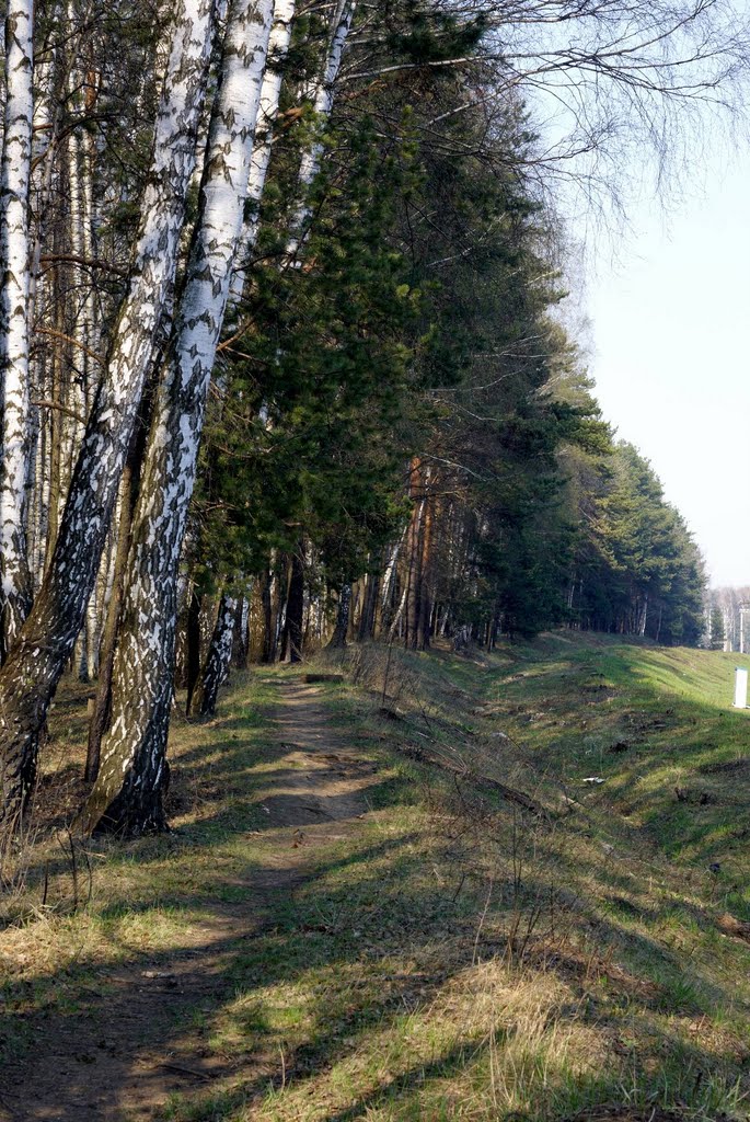 Перегон Лесной Городок - Толстопальцево, Лесной Городок
