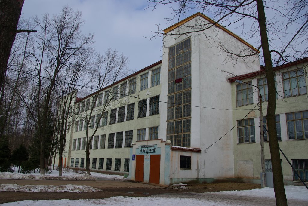 Школа в Ликлино-Дулёво, Ликино-Дулево
