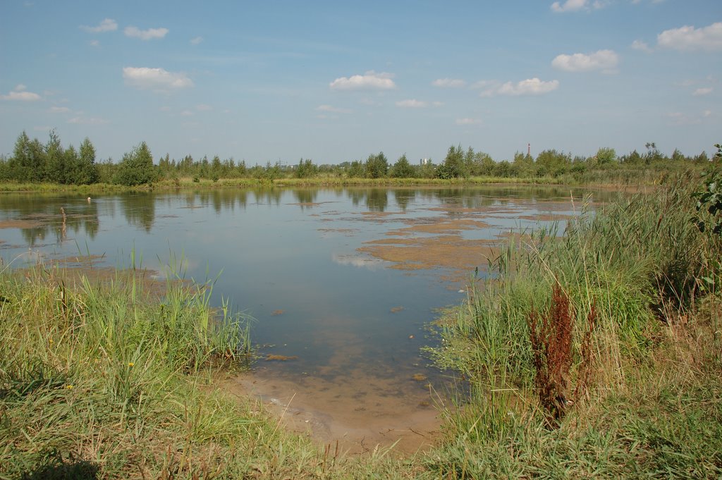 Pond, Ликино-Дулево