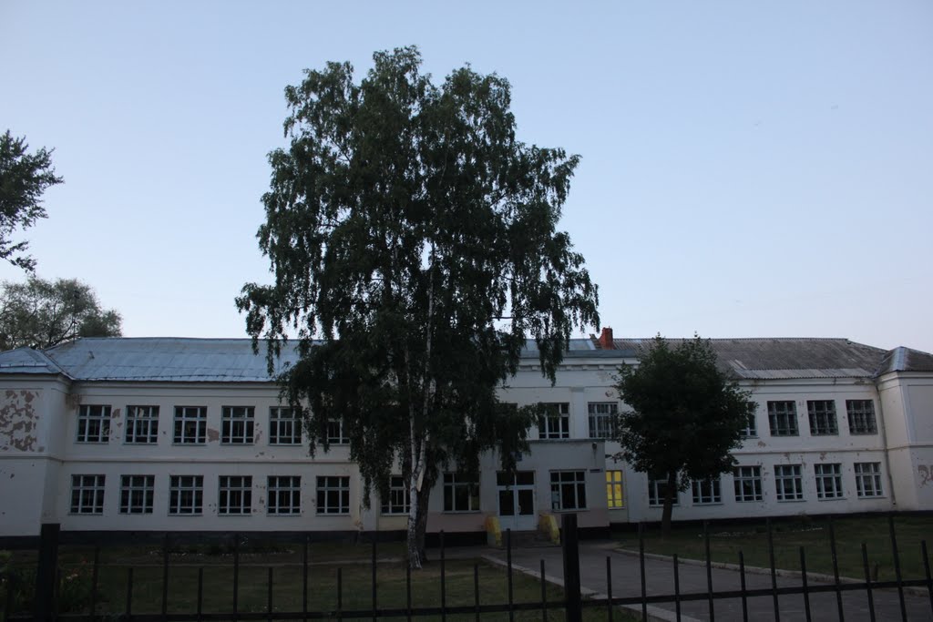Школа, Ликино-Дулево