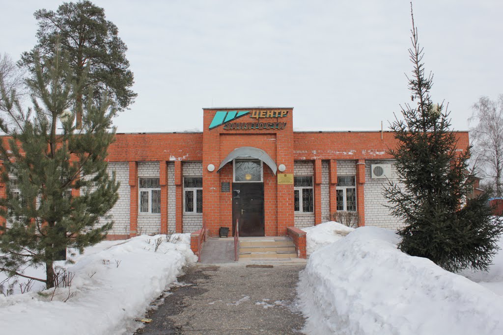 Центр занятости, Ликино-Дулево