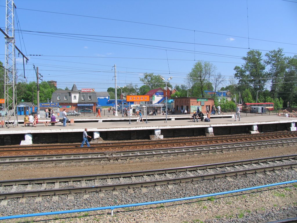Станция Лобня, Лобня