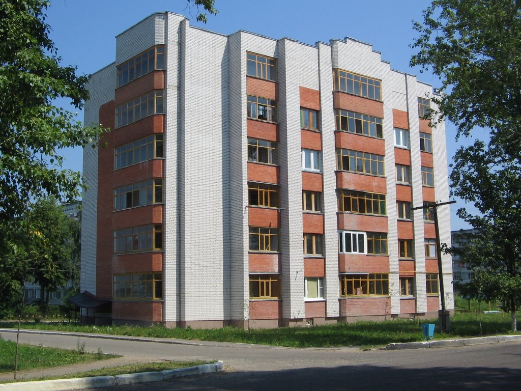 Дом №38 по ул.Центральная / House №38 on Centralnaya Street, Лотошино