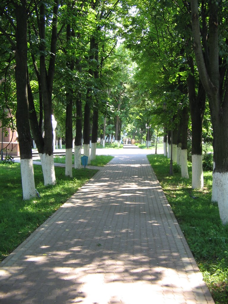 Дорожка в сквере / Path in Square, Лотошино